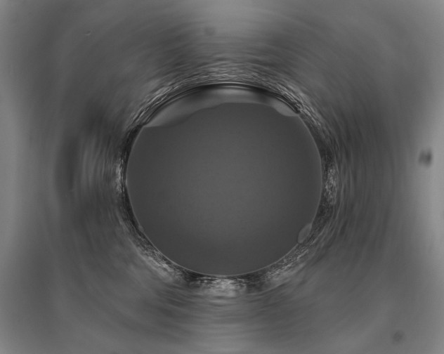 X0000095550330200712141601