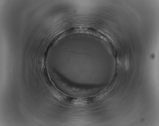 X0000095550331200712141601