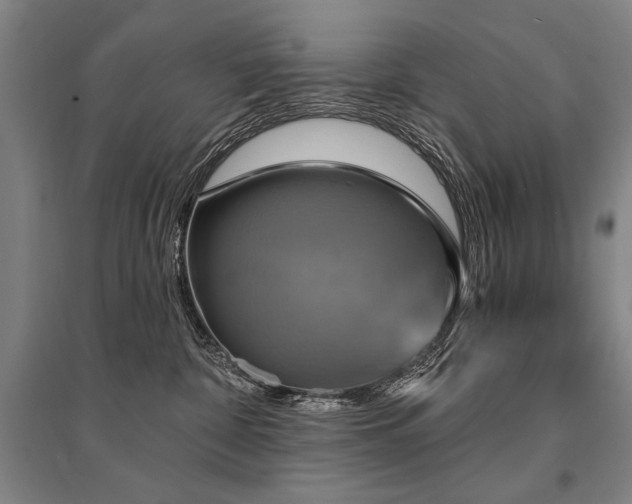 X0000095550332200712141601