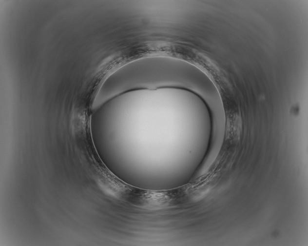 X0000095550333200712141601