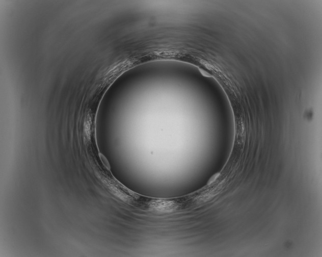 X0000095550334200712141601