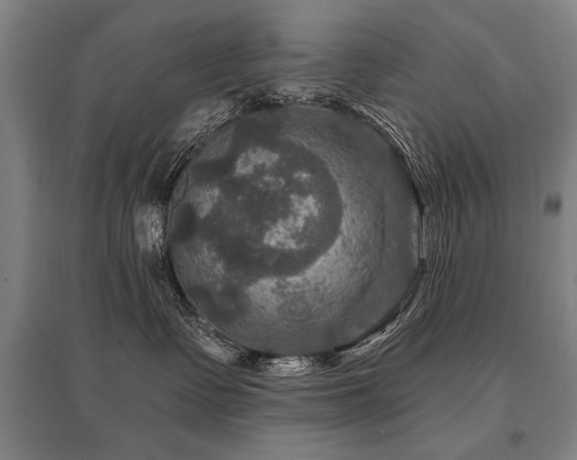 X0000095550335200712141600