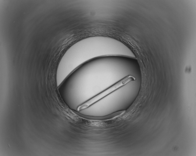 X0000095550336200712141600