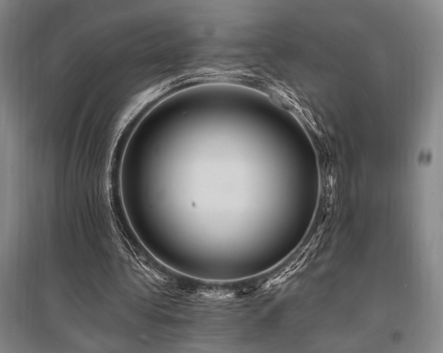 X0000095550340200712141600