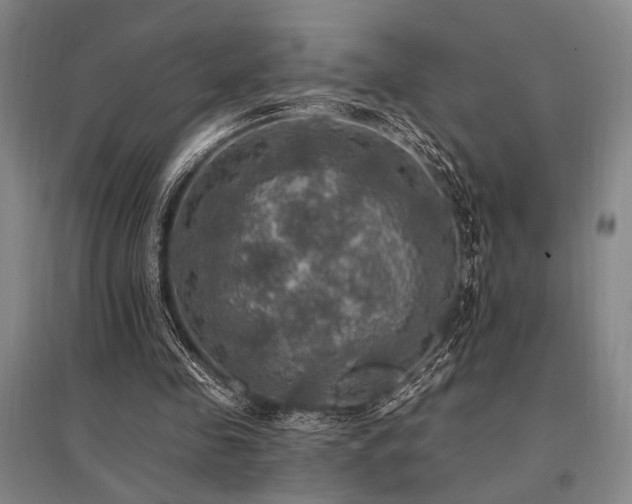 X0000095550341200712141600