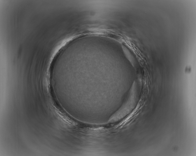 X0000095550342200712141600