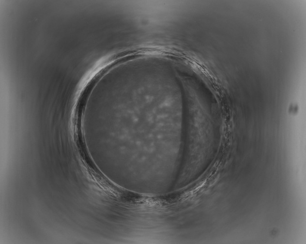 X0000095550343200712141600