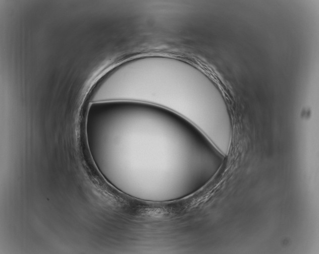 X0000095550344200712141600