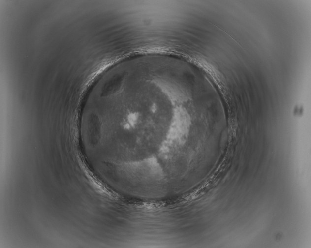 X0000095550345200712141600