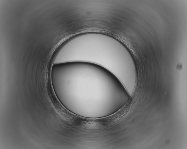 X0000095550348200712141600