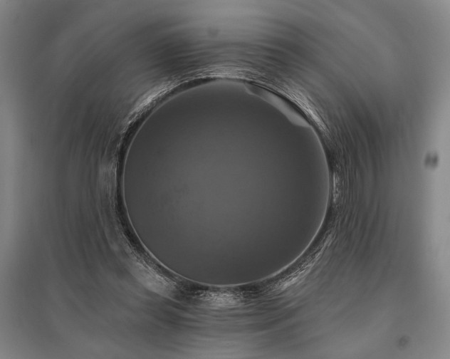 X0000095550349200712141600