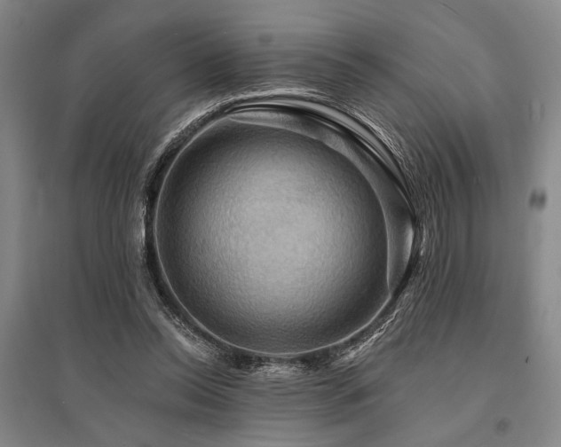 X0000095550350200712141600