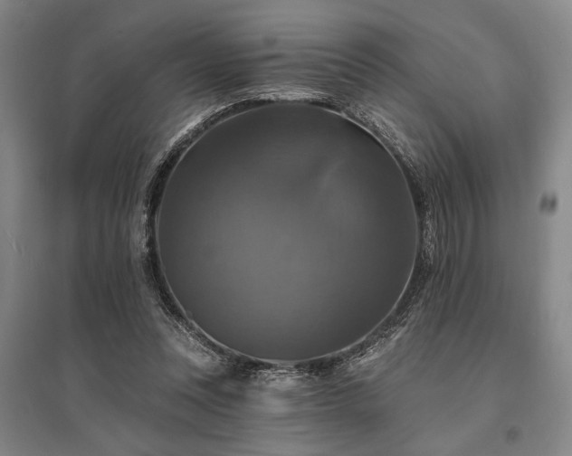 X0000095550351200712141600