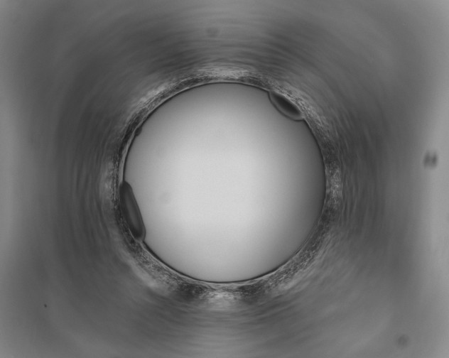 X0000095550352200712141600