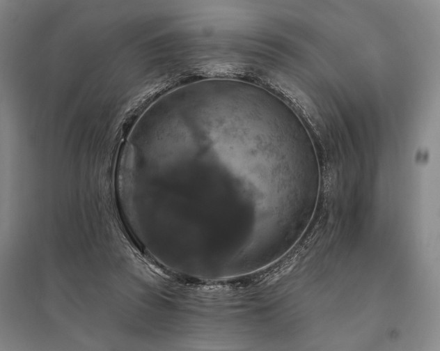 X0000095550353200712141600