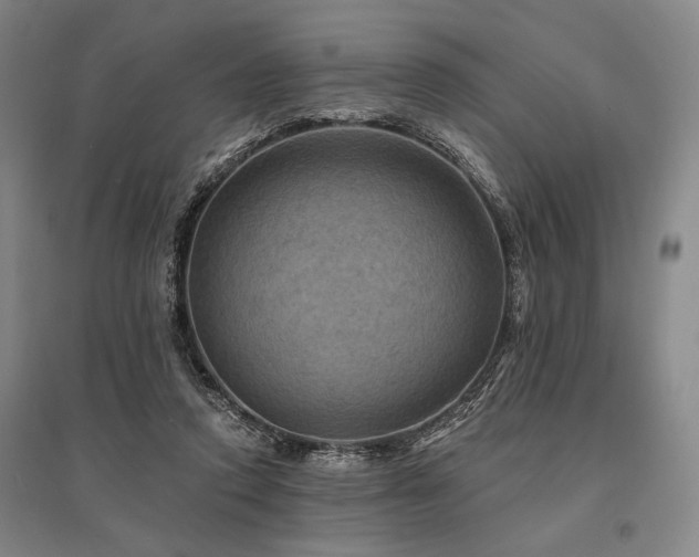 X0000095550354200712141600