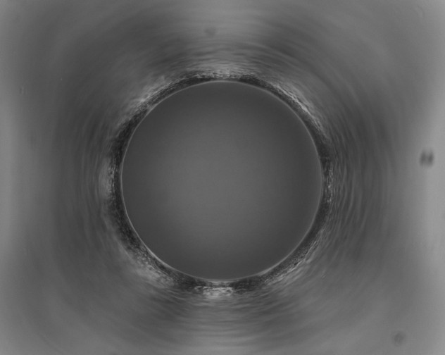 X0000095550355200712141600