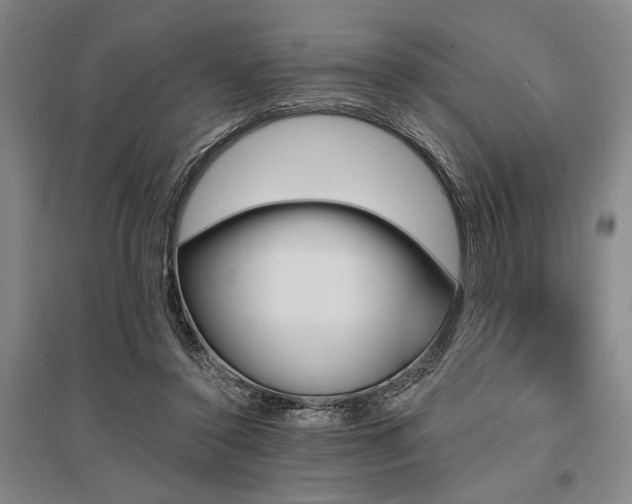 X0000095550356200712141600