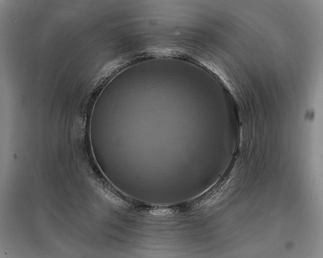 X0000095550357200712141600