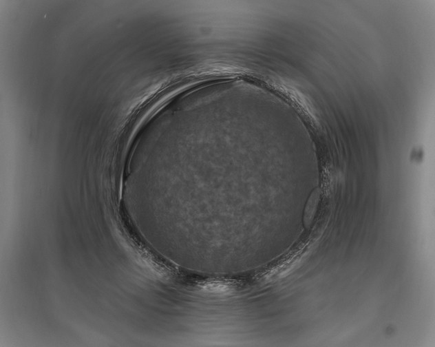 X0000095550358200712141600