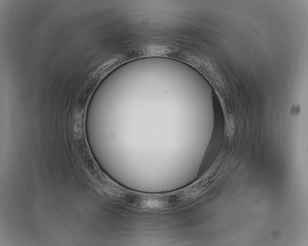 X0000095550360200712141600