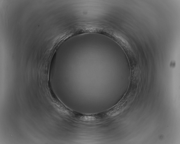 X0000095550361200712141600