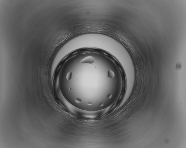 X0000095550362200712141600