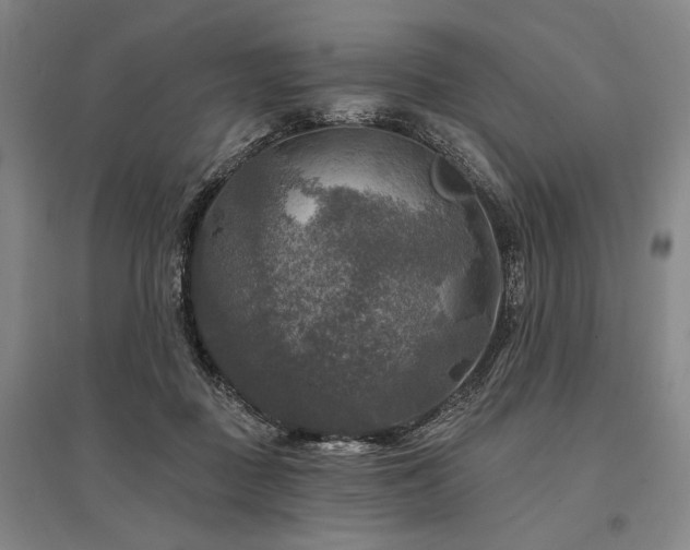 X0000095550363200712141600