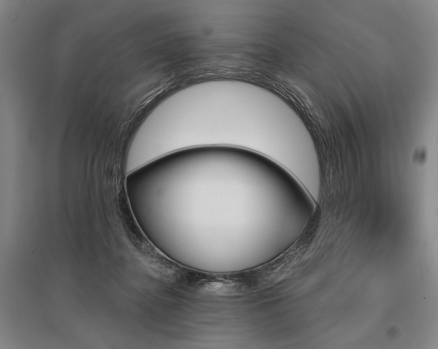 X0000095550364200712141600