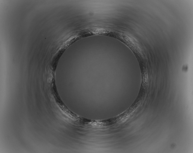 X0000095550367200712141600