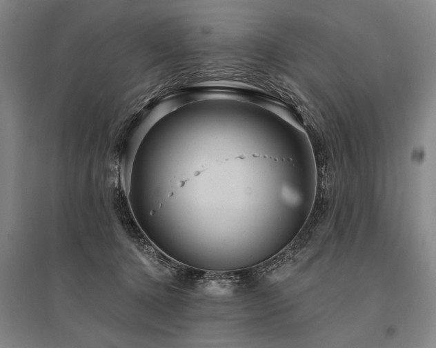 X0000095550368200712141600