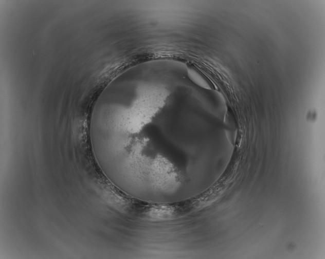 X0000095550369200712141600