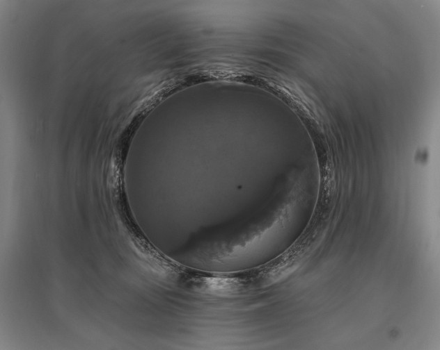 X0000095550371200712141600