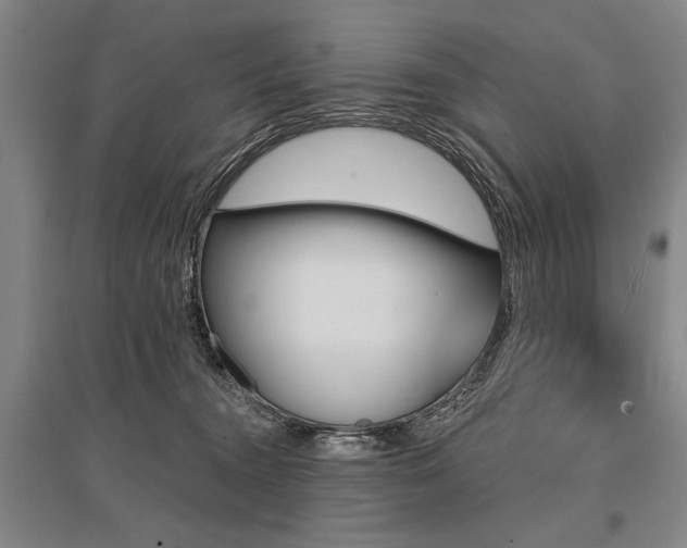 X0000095550372200712141600