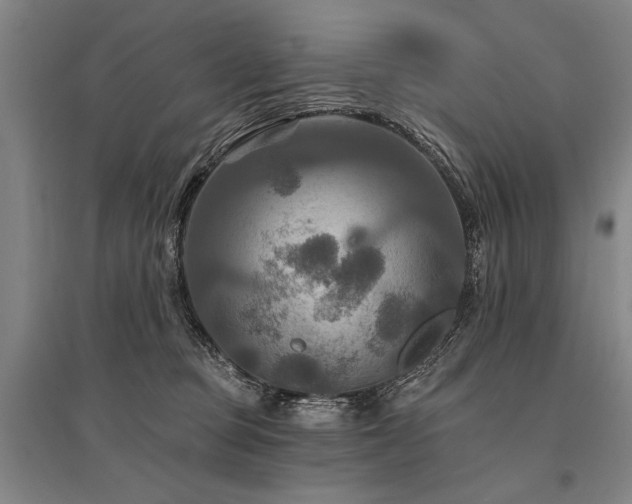 X0000095550373200712141600