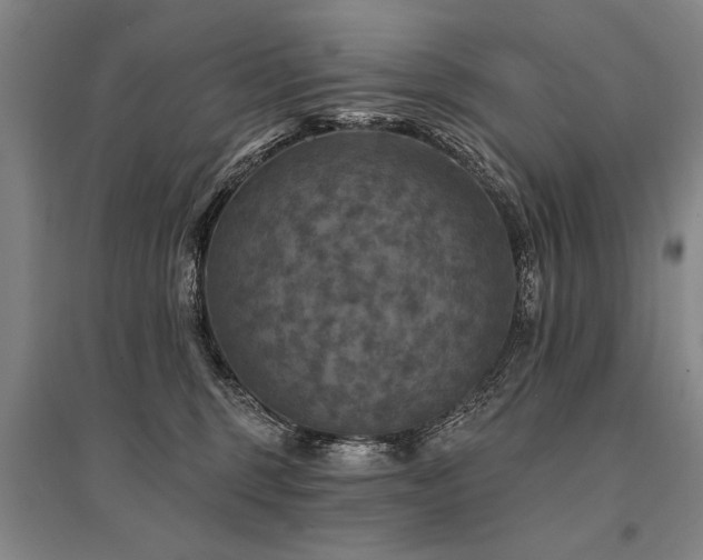 X0000095550375200712141600