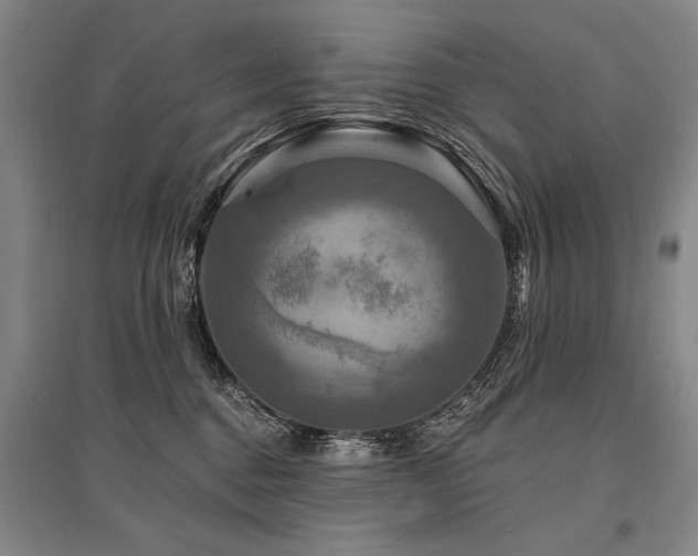 X0000095550376200712141600