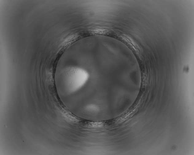 X0000095550377200712141600