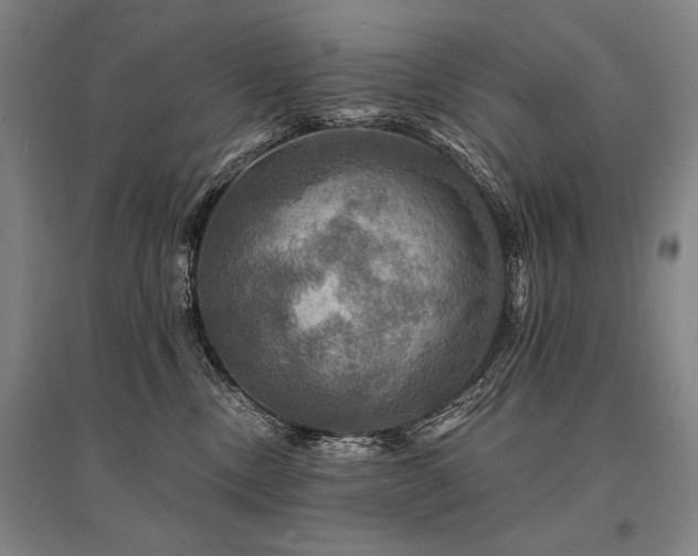 X0000095550378200712141600