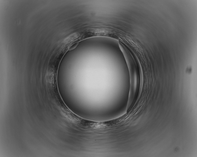 X0000095550379200712141600