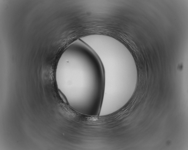 X0000095550380200712141600