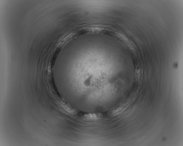 X0000095550381200712141600