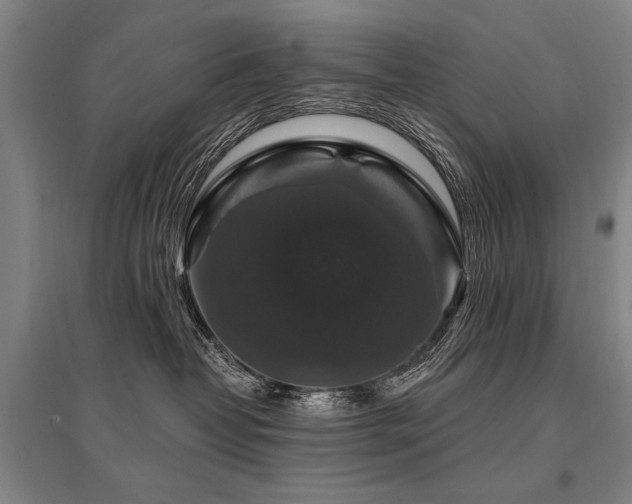 X0000095550382200712141600