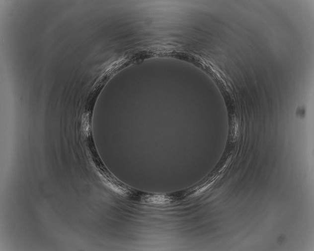 X0000095550383200712141600