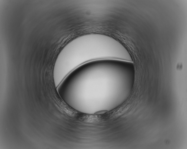 X0000095550384200712141600