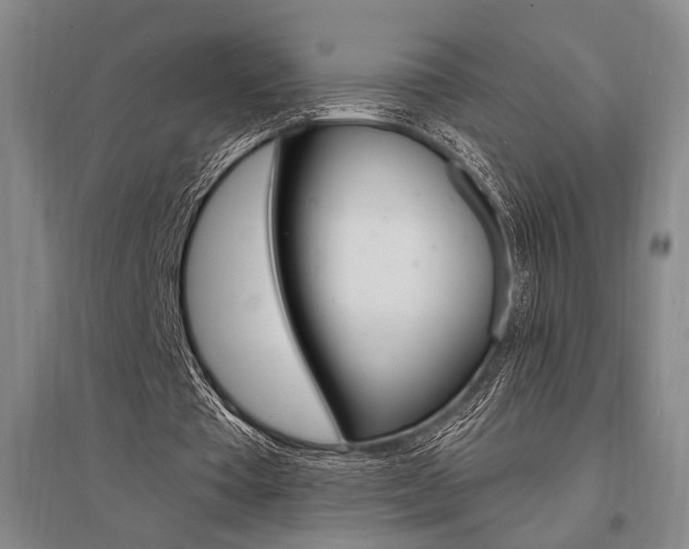 X0000095550385200712141600