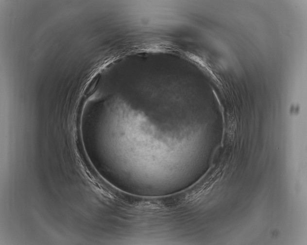 X0000095550386200712141600