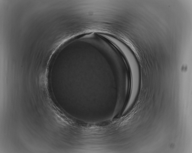 X0000095550387200712141600