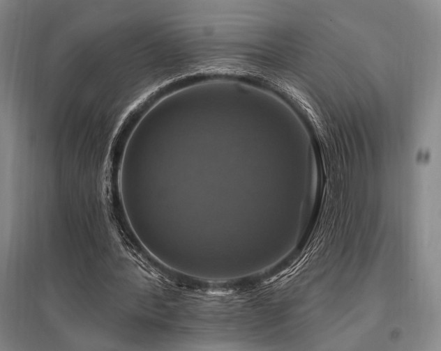 X0000095550388200712141600