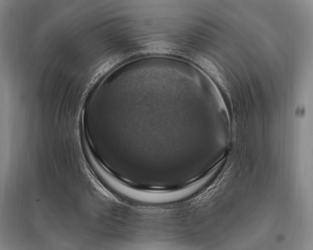 X0000095550389200712141600